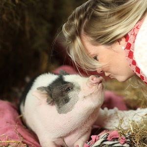 Meet your Posher, Katy